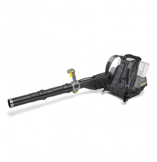 LB 1060/36 Bp image 1