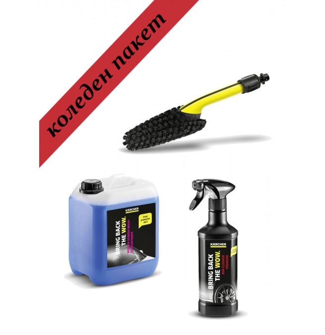 Коледен пакет Karcher зимна грижа за автомобила image 1